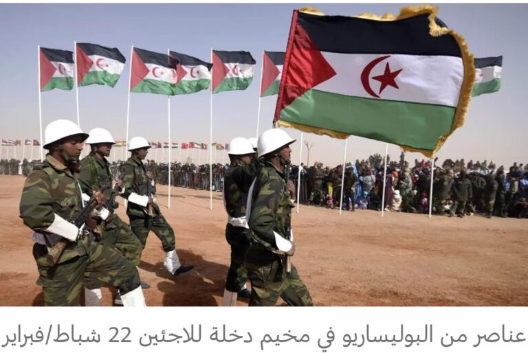 Screenshot_٢٠٢٥١١١٥_٠١٢٦٣٣_Google Go~2