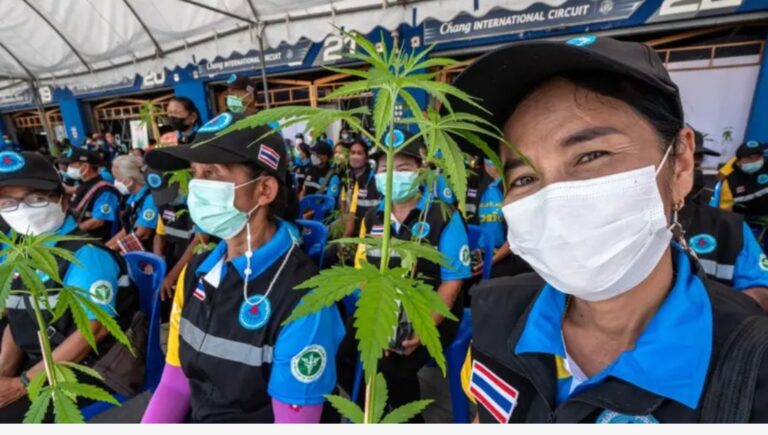 Screenshot_٢٠٢٦٠٤٢٦_١٤٤١٢٠_Google Go~2